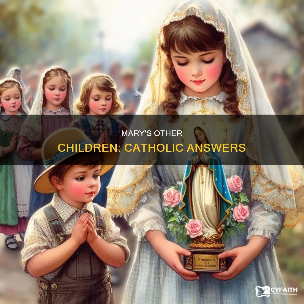 did mary have other children catholic answers