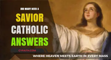 Mary, the Savior's Mother: Catholic Insights