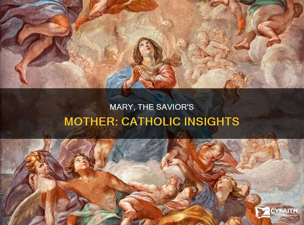 did mary need a savior catholic answers