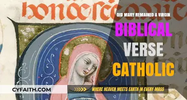 Virgin Mary's Purity: Biblical Evidence and Catholic Beliefs