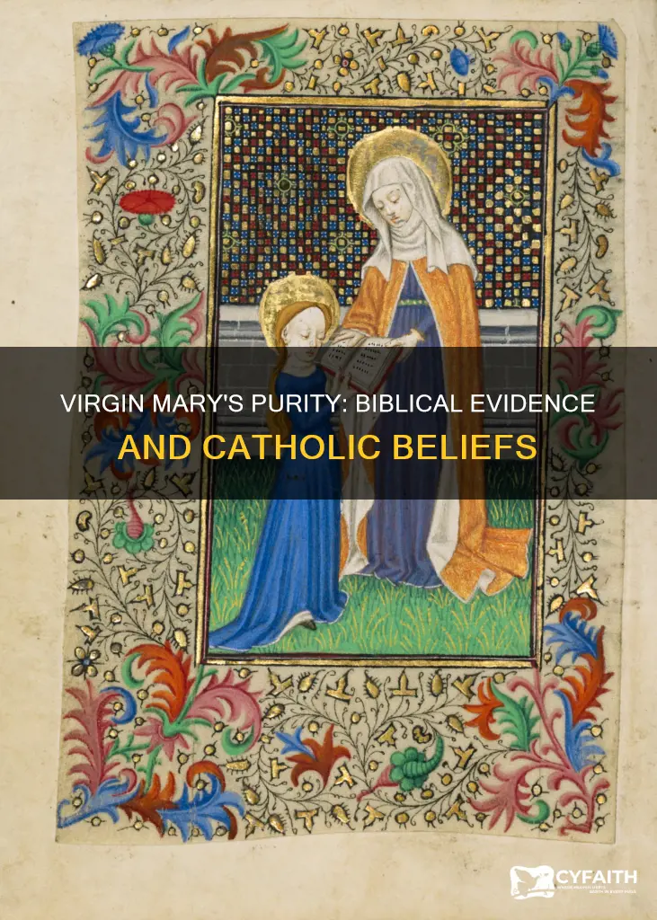 did mary remained a virgin biblical verse catholic