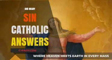 Mary's Sinlessness: Catholic Teachings and Common Misconceptions Explained