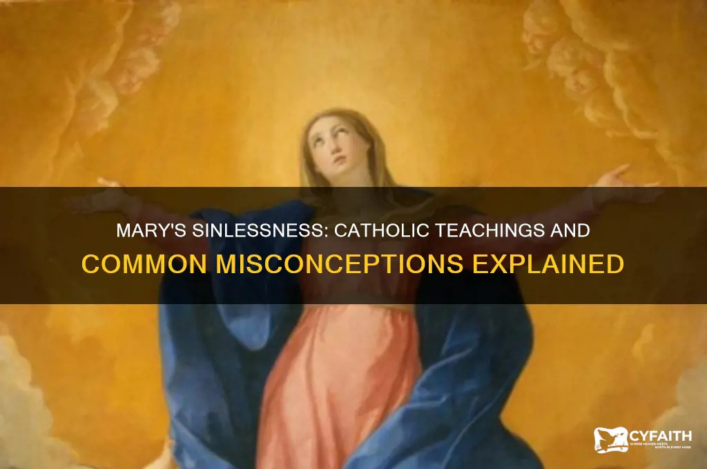 did mary sin catholic answers
