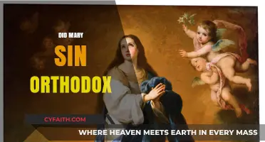 Did Mary Sin? Exploring Orthodox Perspectives on the Virgin Mary's Holiness