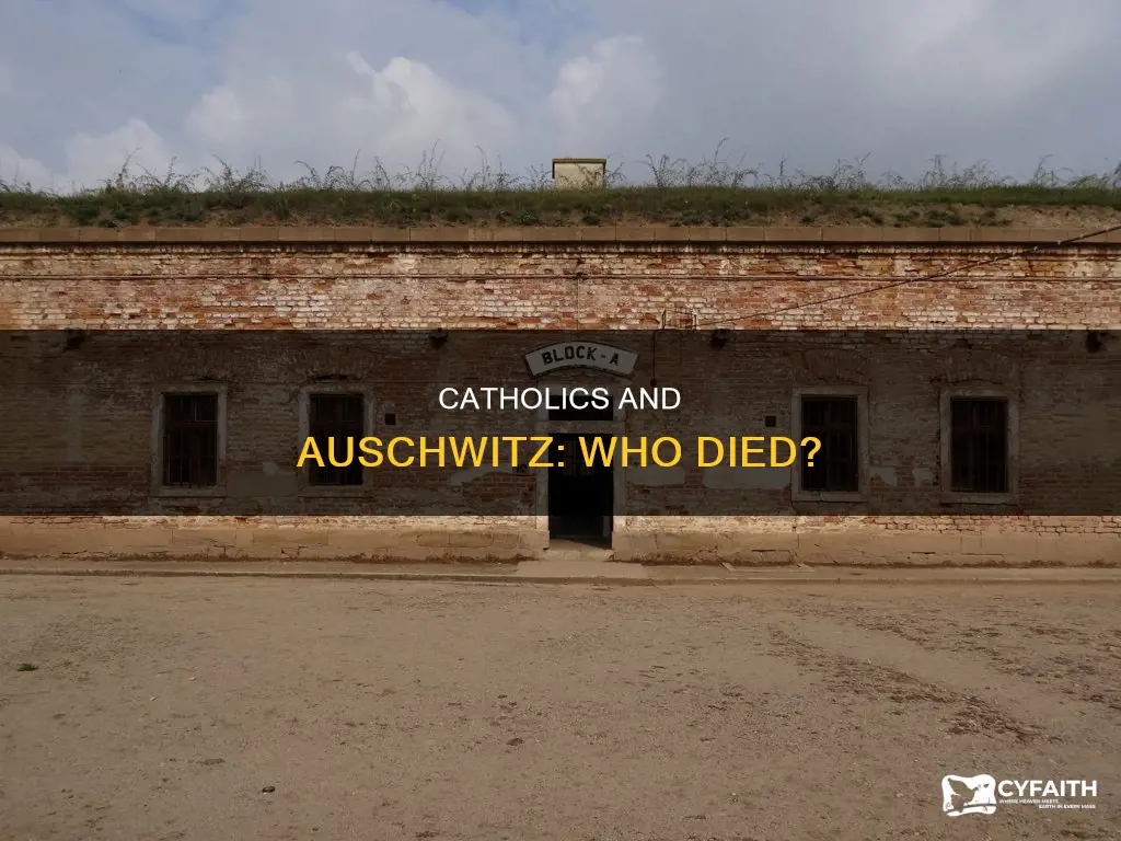 did more catholics than jews die at aushwitz