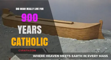 Did Noah Live for 900 Years? Catholic Perspective