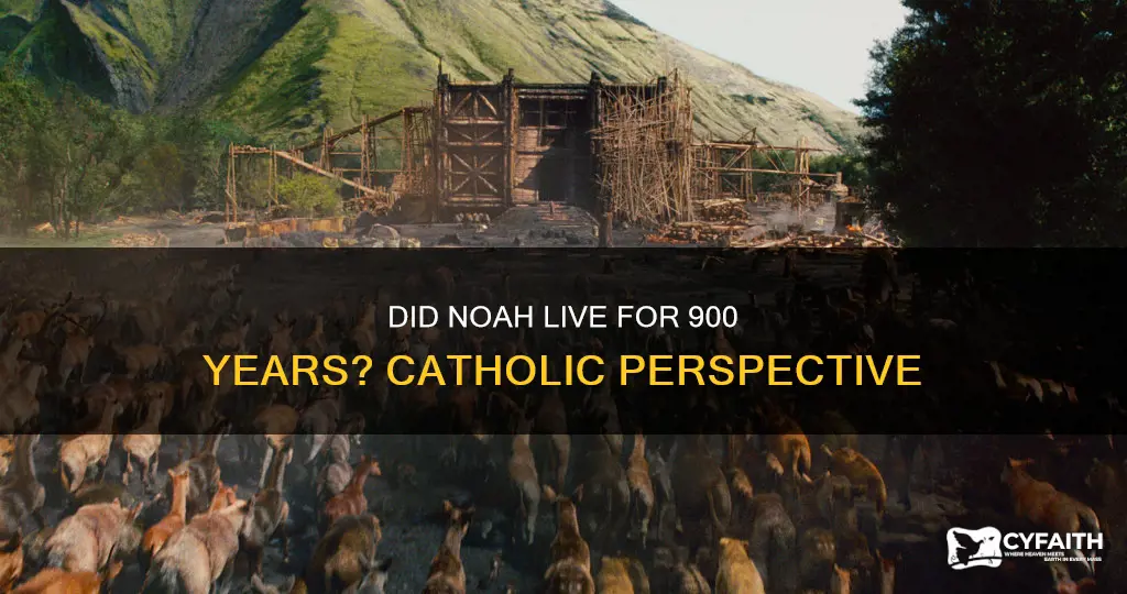 did noah really live for 900 years catholic