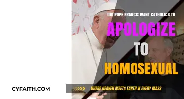 Pope Francis Urges Catholics to Apologize to Homosexuals: Why?