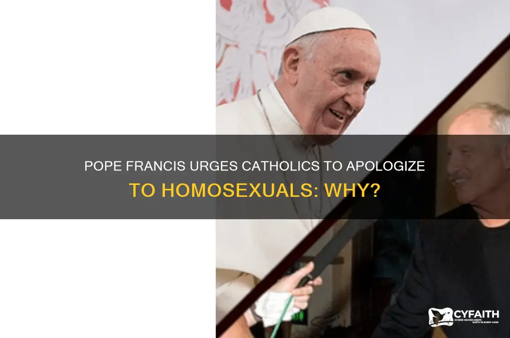 did pope francis want catholics to apologize to homosexuals