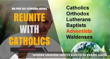 Pope's Plea: Reuniting Lutherans and Catholics