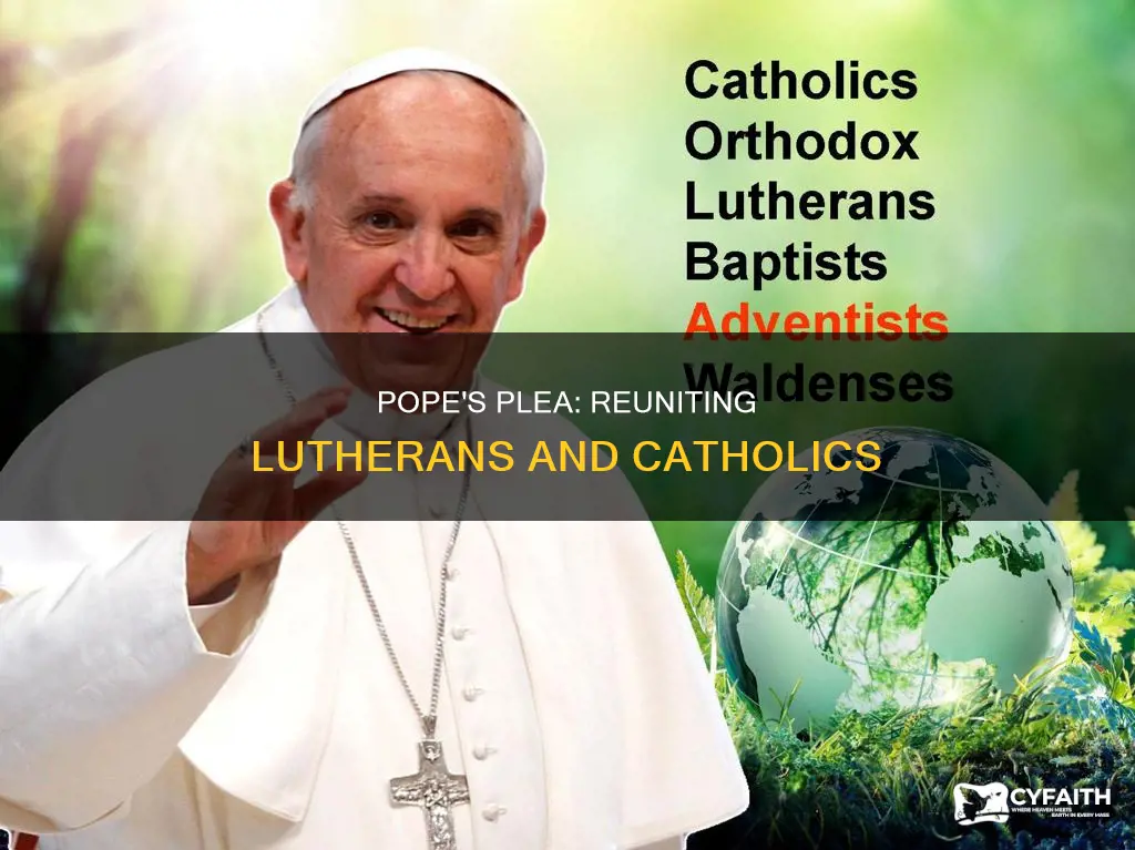 did pope say lutherans should reunite with catholics