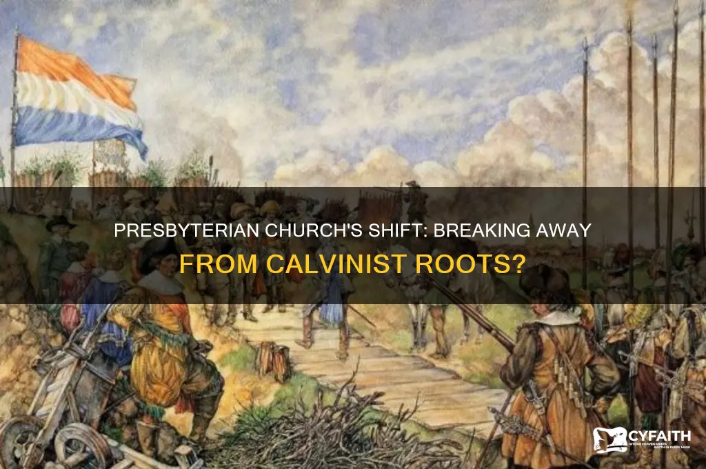 did presbyterian church break away from calviism