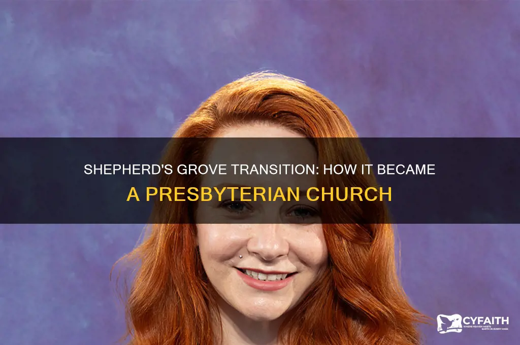 did shepherd