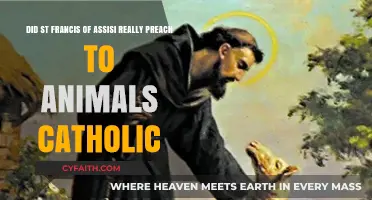 St. Francis of Assisi: Preaching to Animals in Catholic Tradition