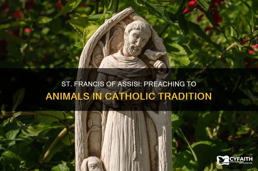 did st francis of assisi really preach to animals catholic