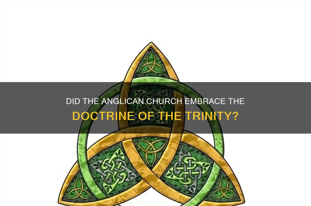 did the anglican church belieb in the trinity