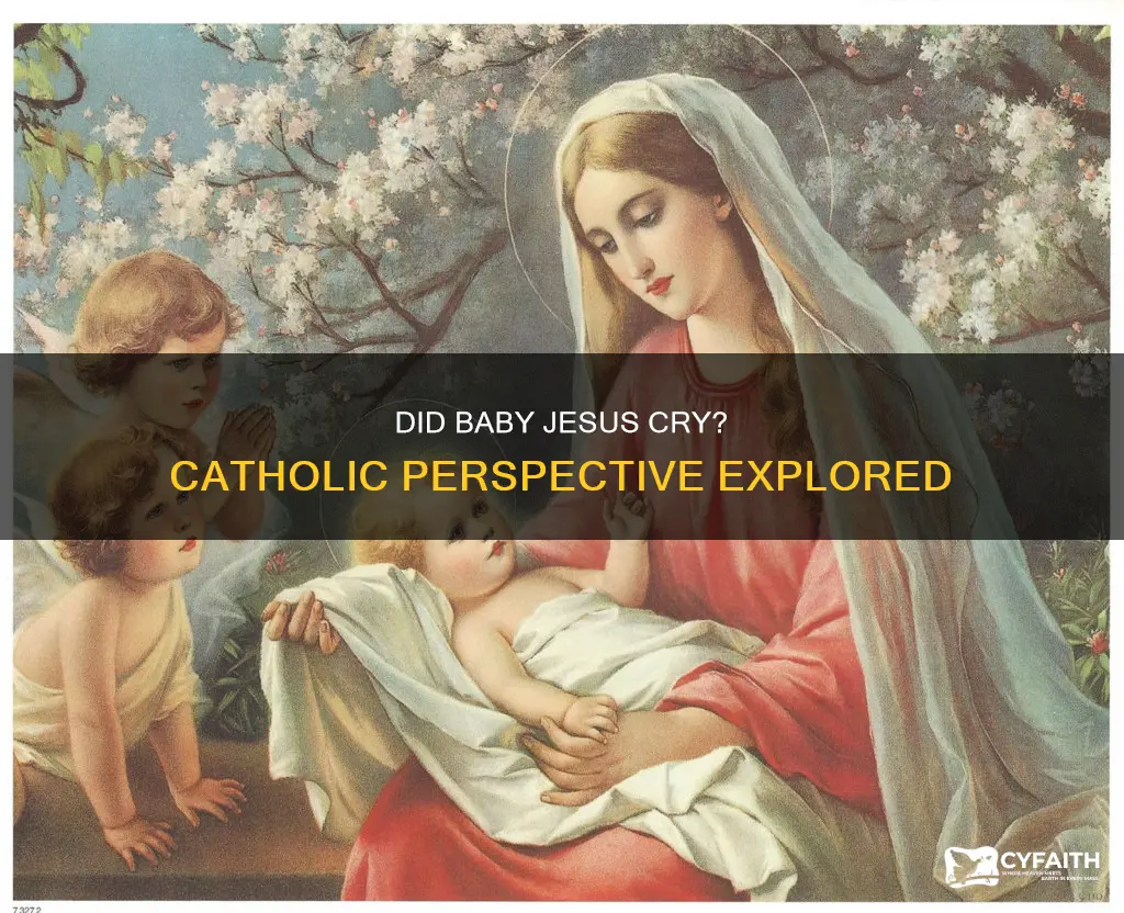 did the baby jesus cry catholic