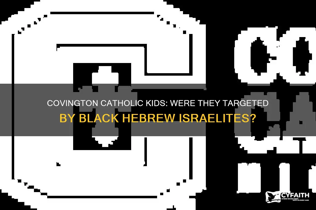 did the black hebrew israelites target the covington catholic kids