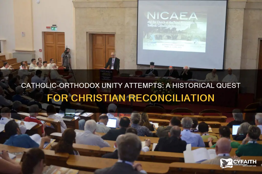 did the catholic and orthodox church try to unite