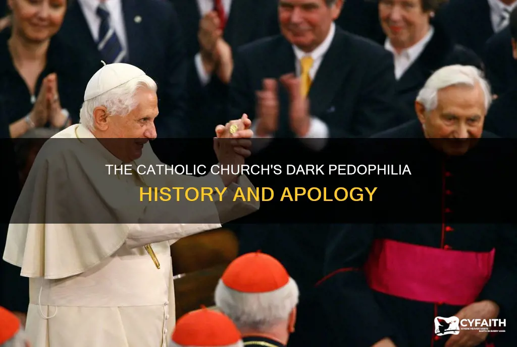did the catholic churcg appolize for pedophilia