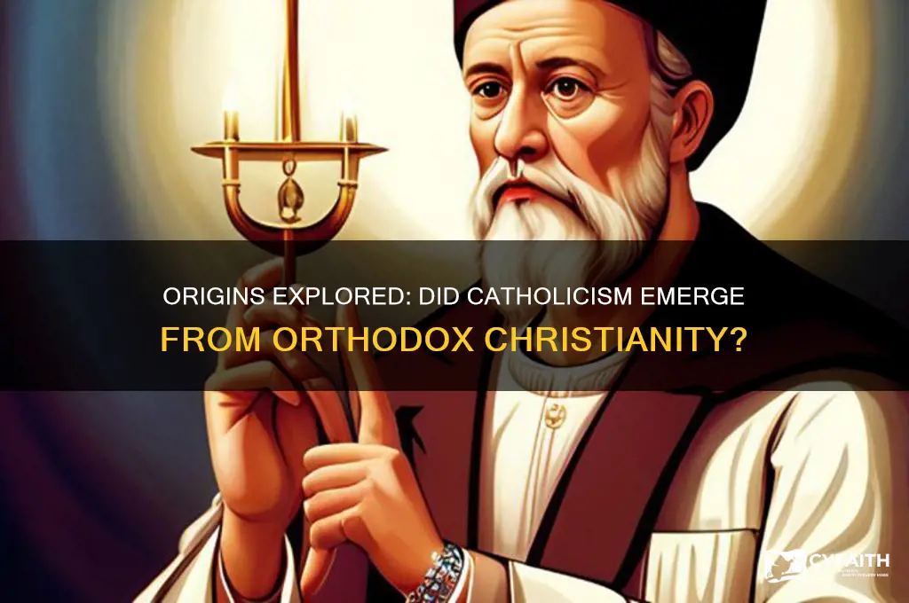 did the catholic church begin from the orthodox church