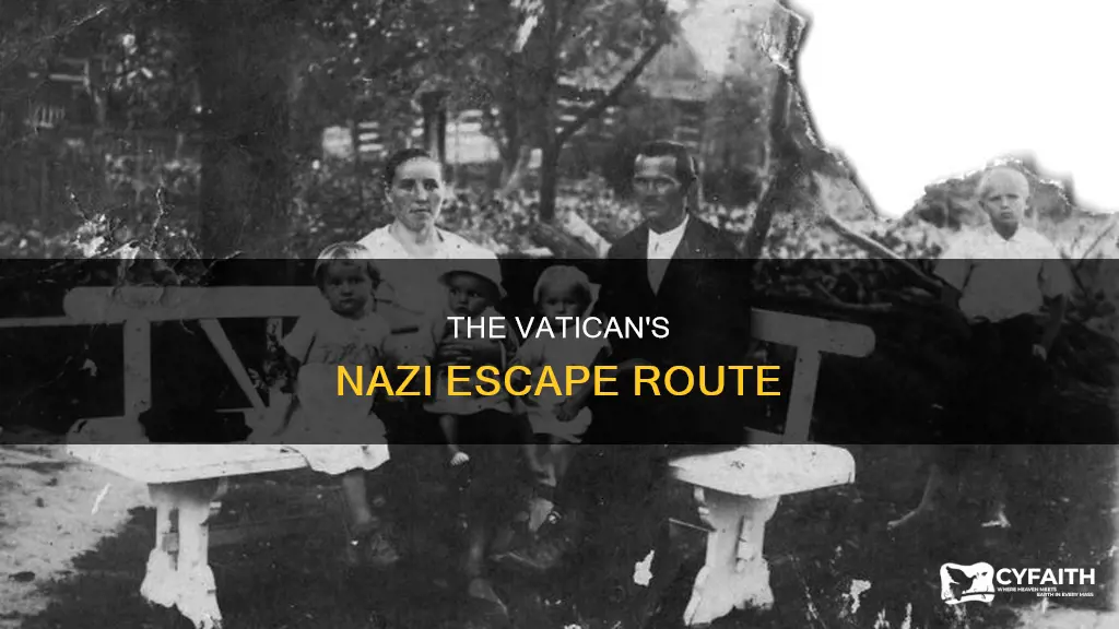 did the catholic churchhelp nazi