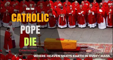 Did the Catholic Pope Die? Unraveling the Latest Rumors and Facts