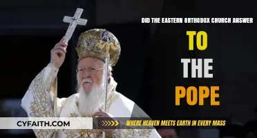 Does the Eastern Orthodox Church Recognize Papal Authority?