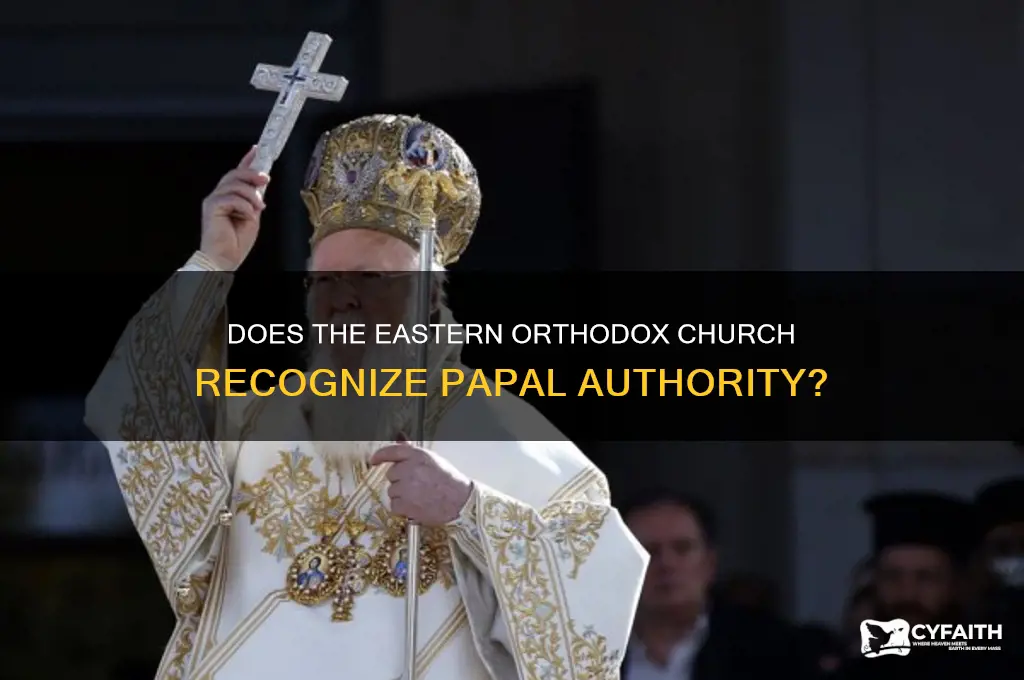 did the eastern orthodox church answer to the pope
