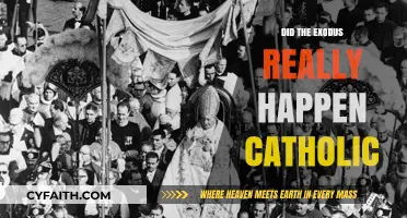 The Exodus: Catholic Perspective on Historicity