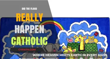 The Great Flood: Catholic Interpretations and Beliefs