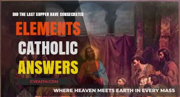 Was the Last Supper's Bread and Wine Consecrated? Catholic Insights