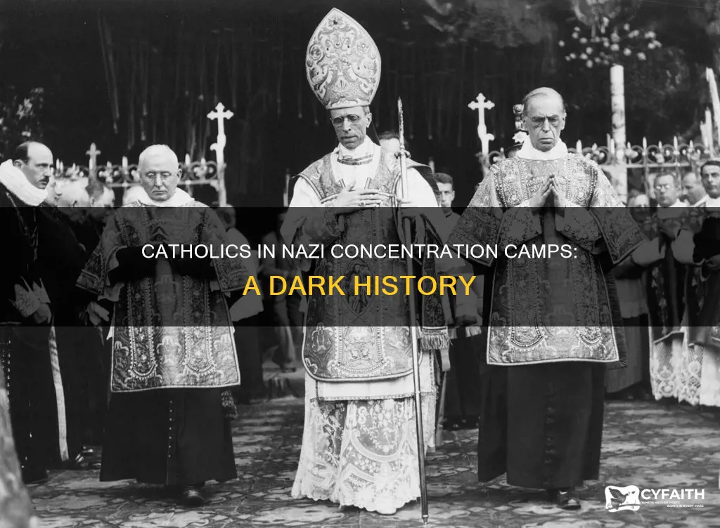 did the nazis put catholics in concentration camps