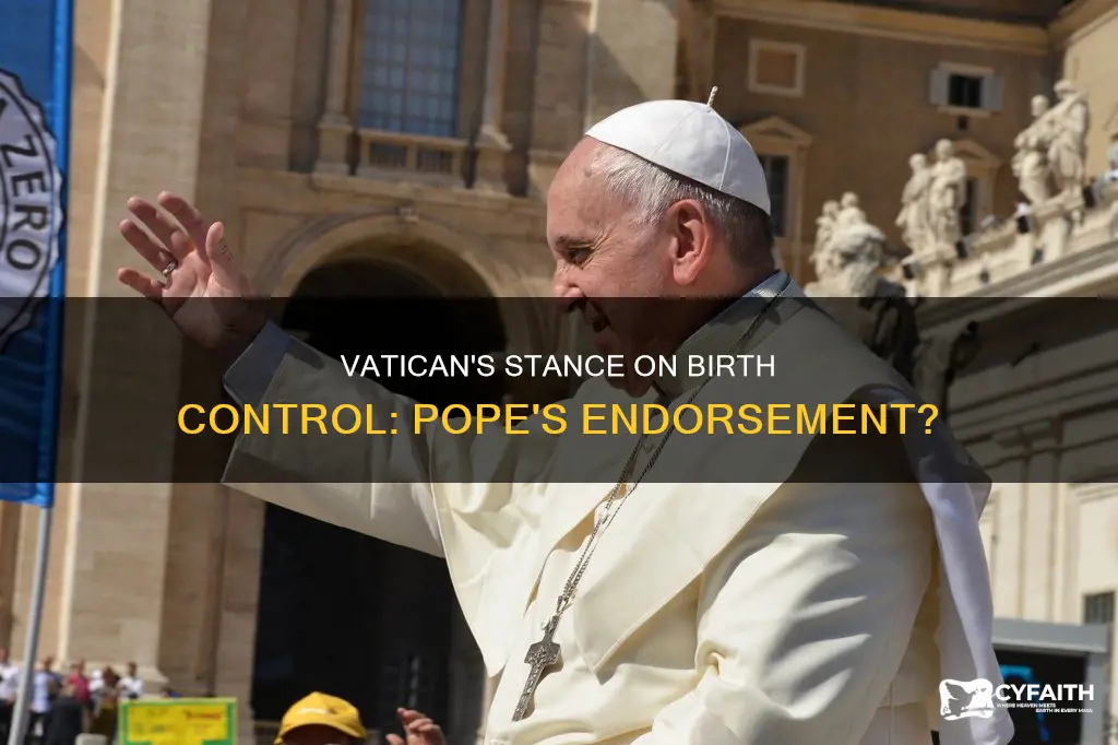 did the pope endorse birth control for catholics