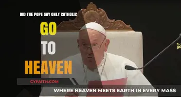 Pope's Heaven Statement: Catholic Exclusivity or Misinterpreted Doctrine?