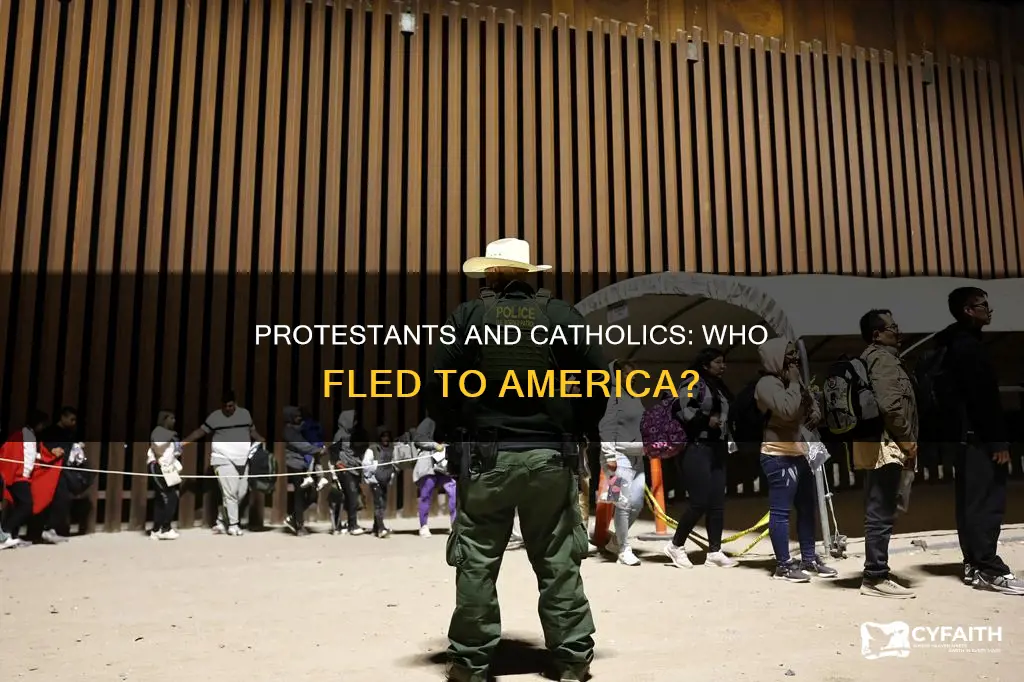 did the protestanrs or catholics flee to america