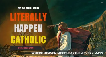 The Plagues: Catholic Perspective on Biblical Truths