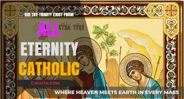 The Everlasting Trinity: A Catholic Perspective