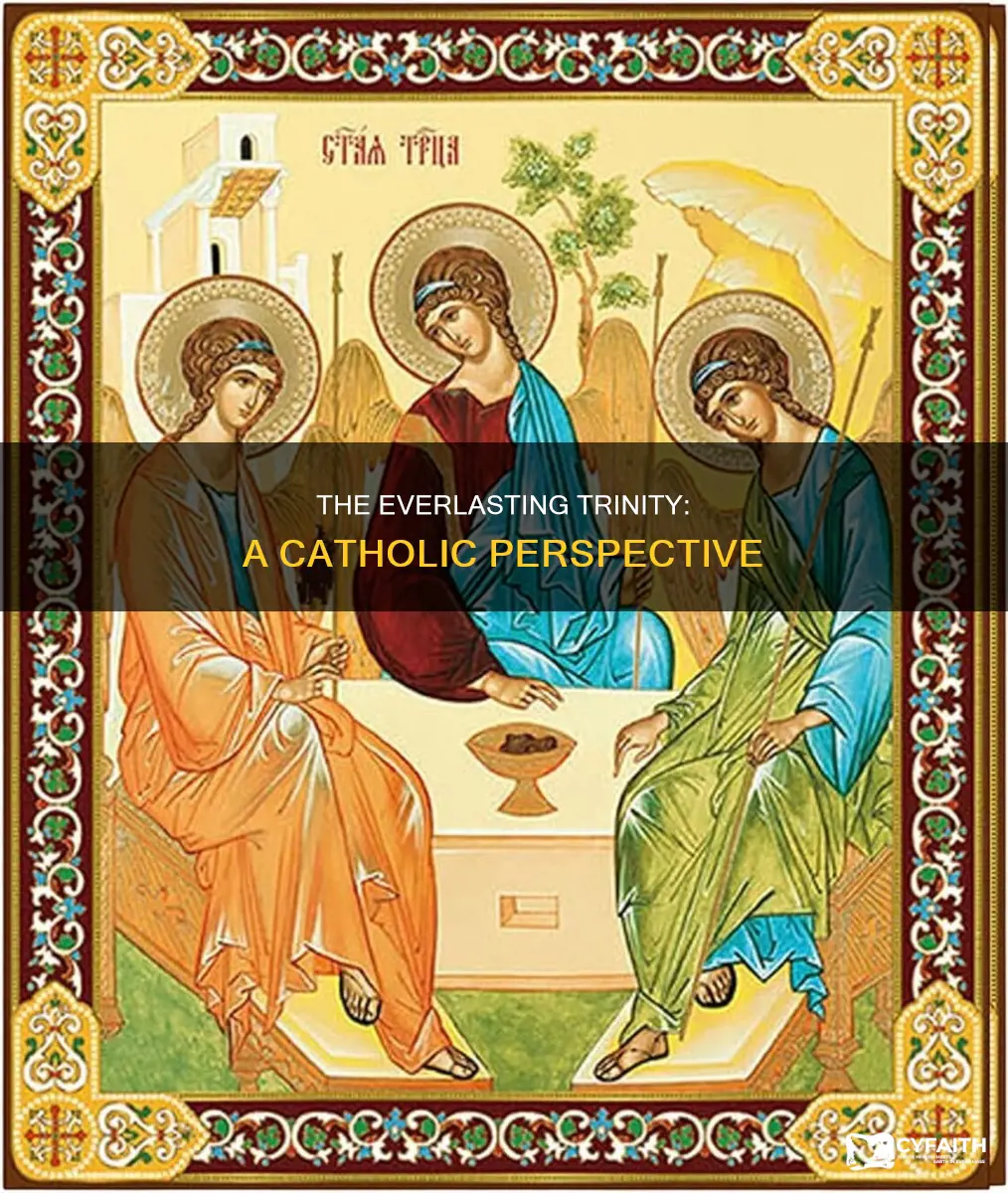did the trinity exist from all eternity catholic