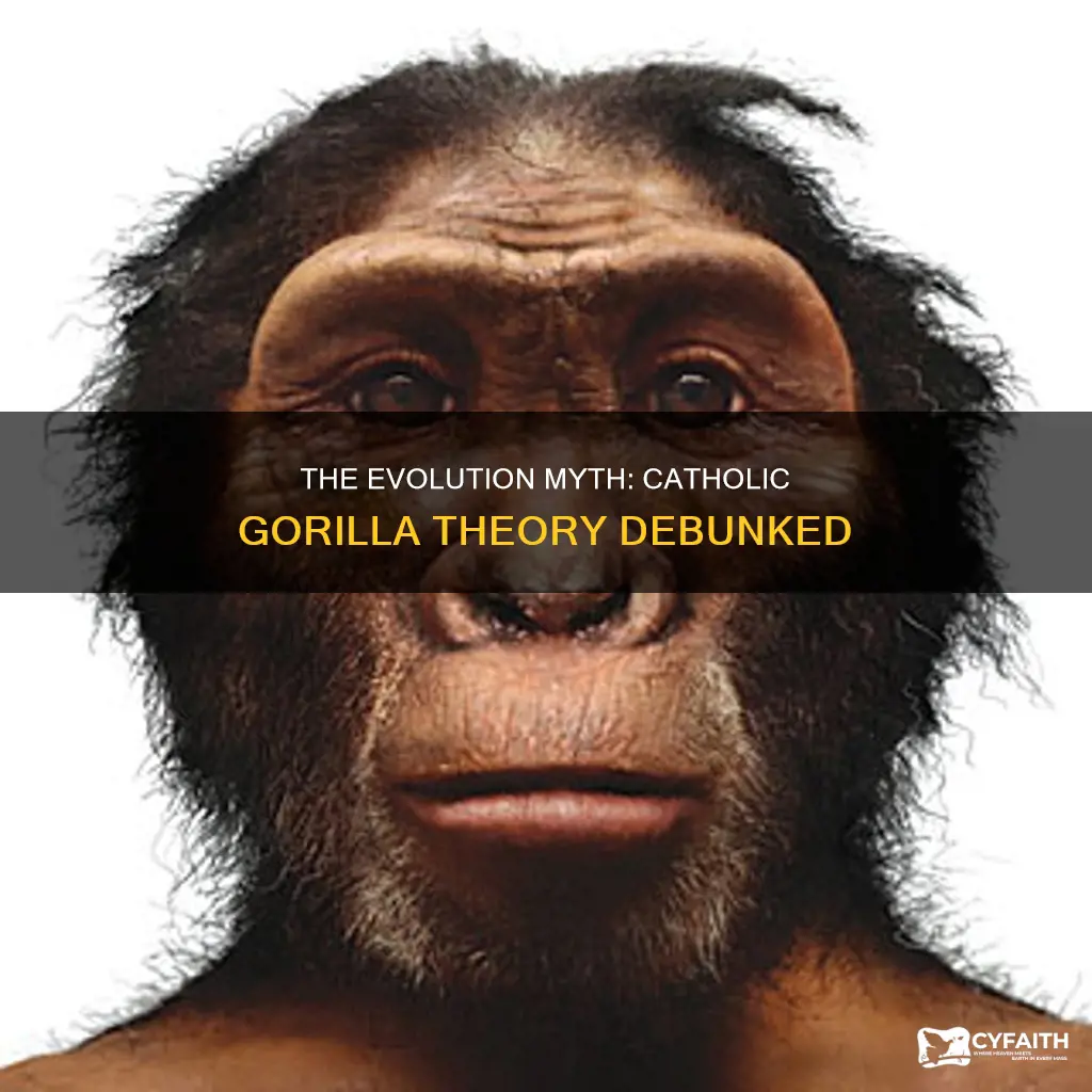 did we evolve from gorilla