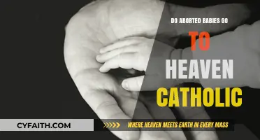 The Fate of Aborted Babies: Catholic Perspective