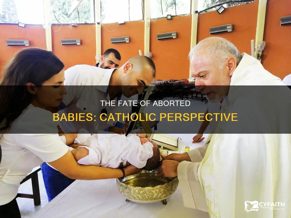 do aborted babies go to heaven catholic