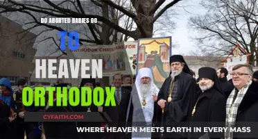 Orthodox Perspective: Do Aborted Babies Go to Heaven?