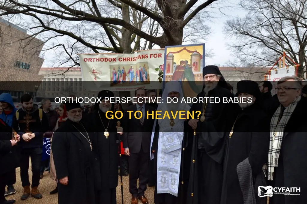 do aborted babies go to heaven orthodox