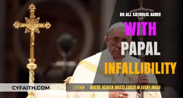 Papal Infallibility: A Catholic Conundrum?
