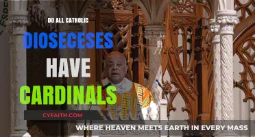 Who Elects the Pope? Cardinals and Dioceses Explained