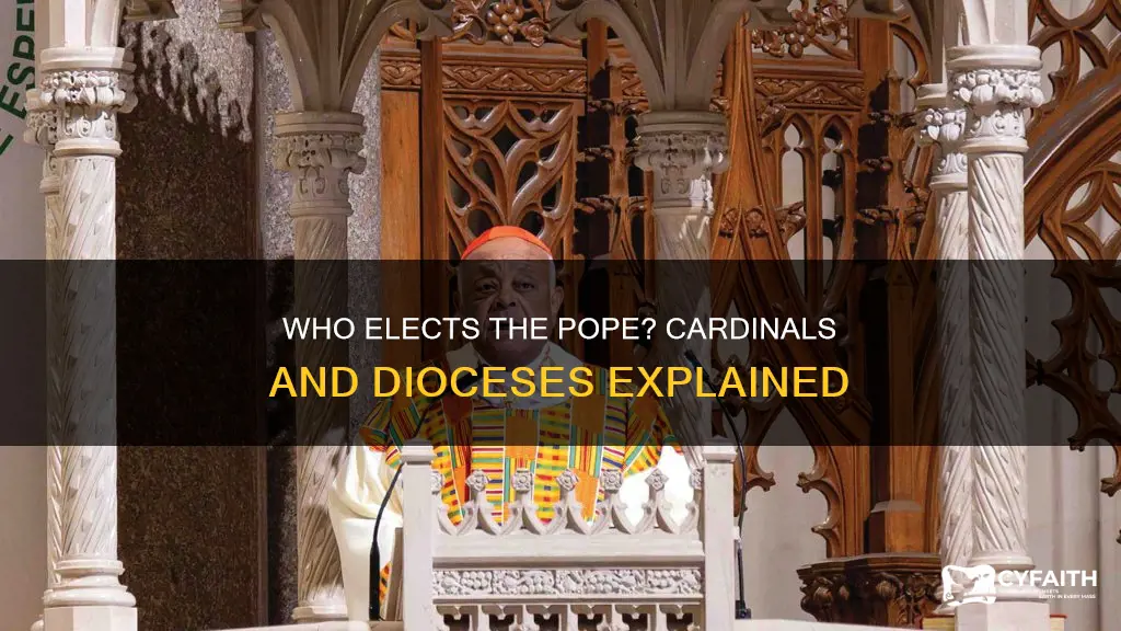 do all catholic dioseceses have cardinals