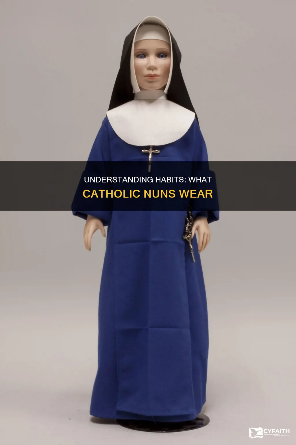 do all catholic nuns wear habits