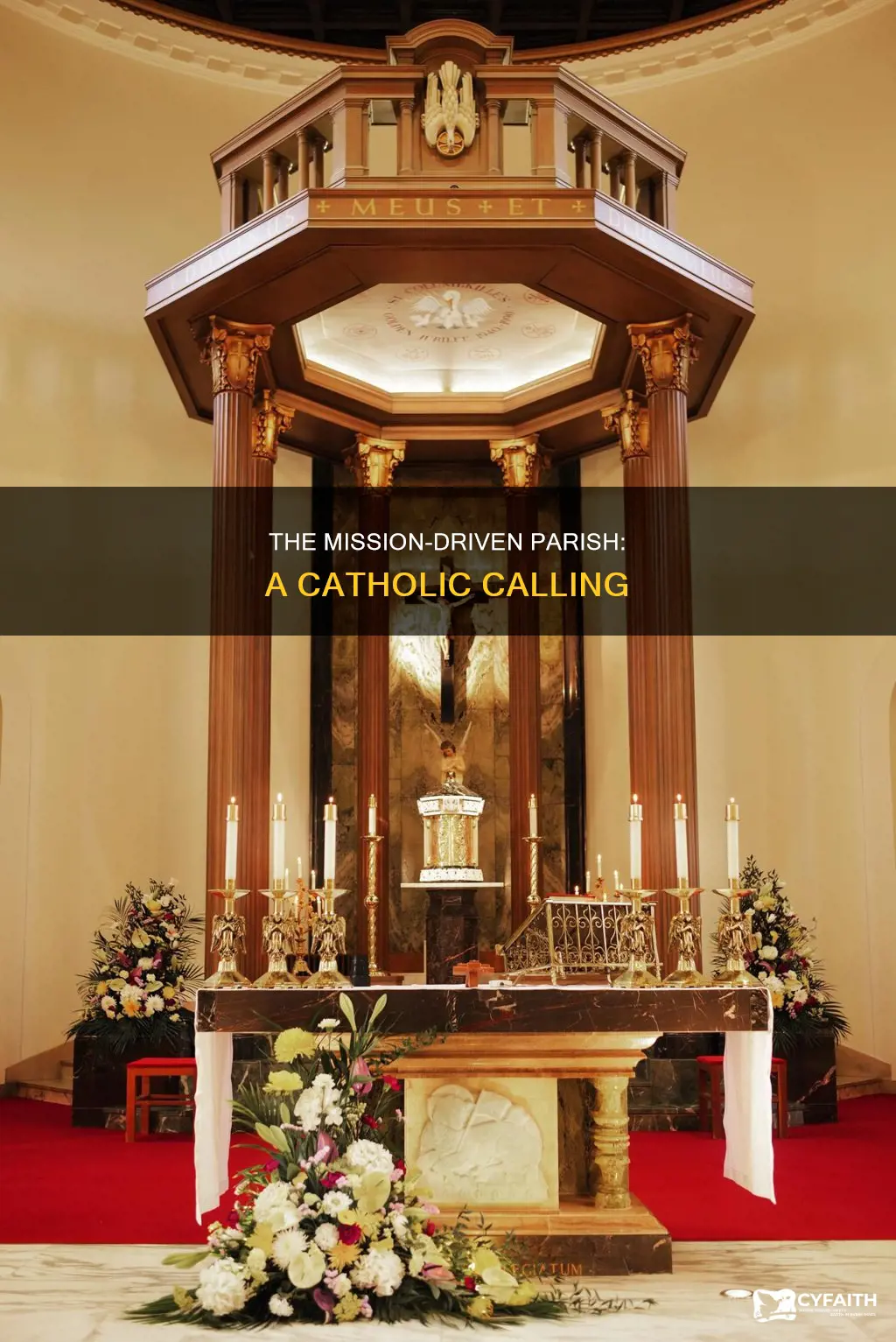 do all catholic parishes have missions