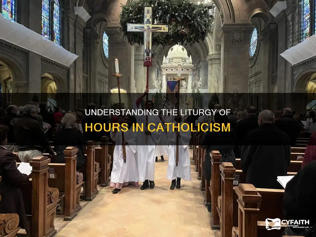 do all catholic read the liturgy of hours
